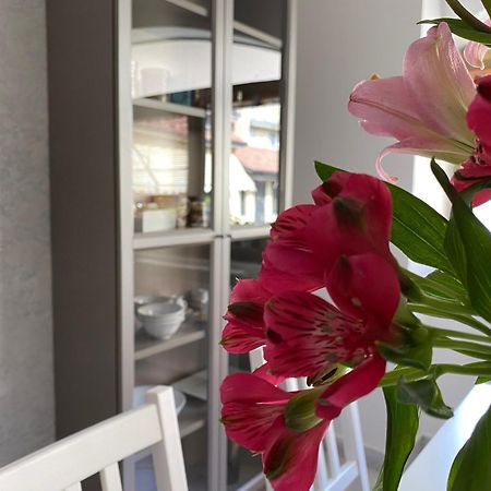 Casa Cassina Διαμέρισμα Cassina de' Pecchi Εξωτερικό φωτογραφία