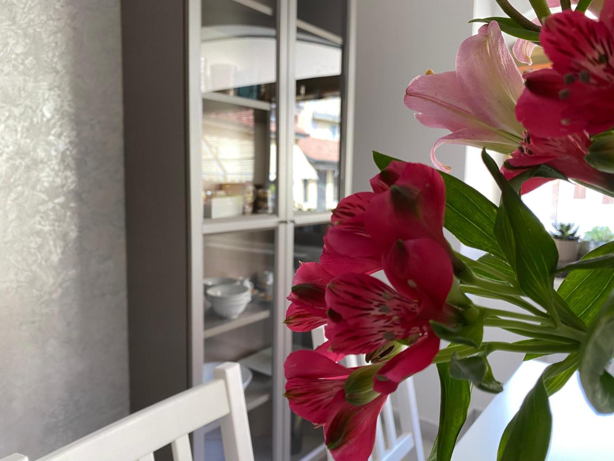 Casa Cassina Διαμέρισμα Cassina de' Pecchi Εξωτερικό φωτογραφία